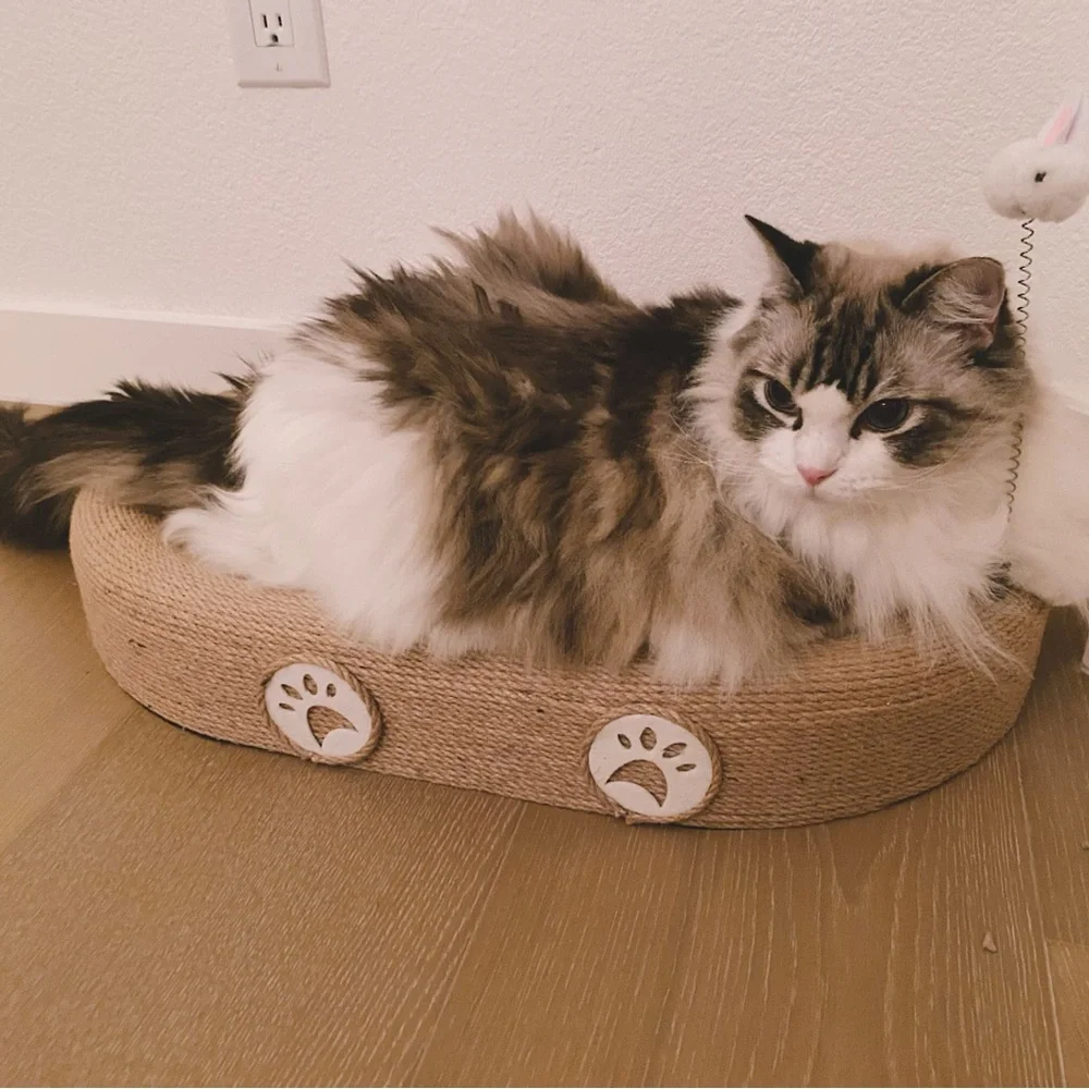Oval Sisal Cat Scratcher Bed, 24x15 Inch for Big Cats with Spring Teaser Cat Toy